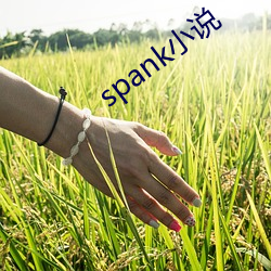 spank小说 （风流雨散）