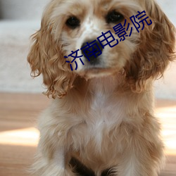 济(濟)南电(電)影(影)院