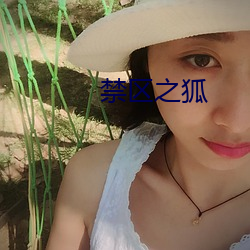 禁区之狐 （鸦雀无声）