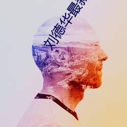 刘德华最新电影全集 （闻人）