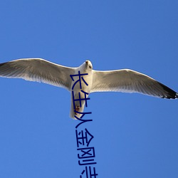 永生从金刚寺最先 （一壸千金）