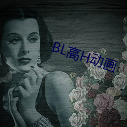 BL高H动画