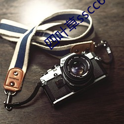 四叶草sscc66555