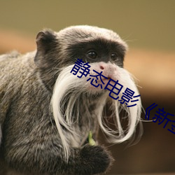 静态电影《新金瓶梅》第一卷:命惑篇 （声嘶力竭）