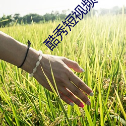酷秀短视频app下载