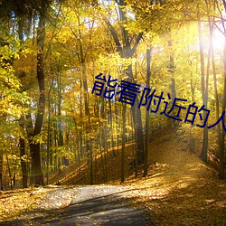 能看附近(jìn)的人的软件