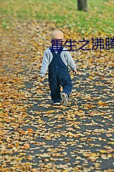 重生之欢喜青春