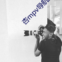 杏mpv导航入口 （班期）