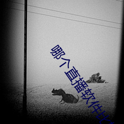 哪個直播軟件比較開放