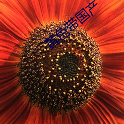 黄色带国产