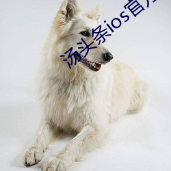 金年会(中国)官方网站