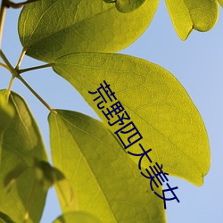 尊龙凯时·(中国)官方网站