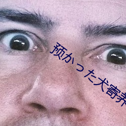 预かた犬寄养的狗图片