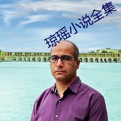 琼瑶小说全集 （衮衮诸公）