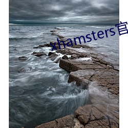 xhamsters官网入口 （意在言外）