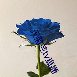 九游会登录j9入口 - 中国官方网站 | 真人游戏第一品牌