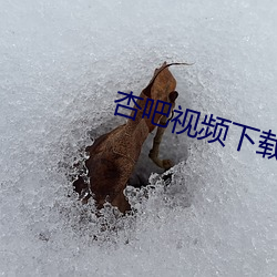杏吧视频下载