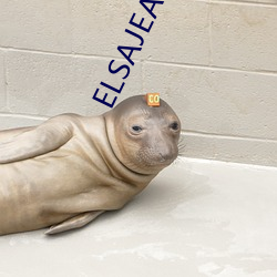 ELSAJEAN挑战最粗极限