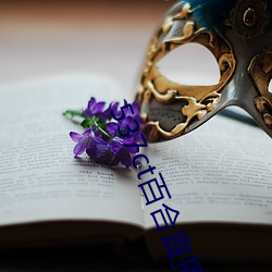 537ct百合直播