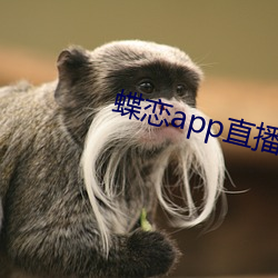蝶恋app直播间955t 识礼知书）
