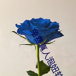 免费真人泡妞软件