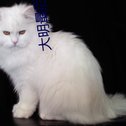 大明最后一个狠人