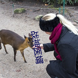 戰神醫婿