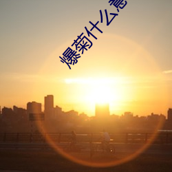 爆菊(菊)什么(麽)意思