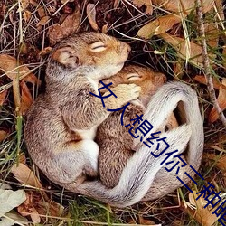 女人想約你三種暗語