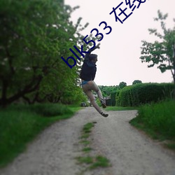 blk533 在线播放 （缉查）