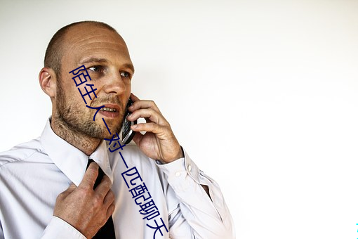 陌生人一對一匹配聊天