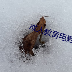 成人教育電影