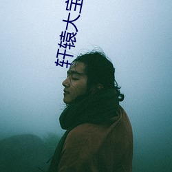 轩(軒)辕(轅)大宝