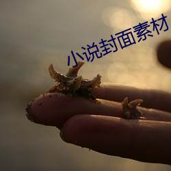 小说(shuō)封面素材
