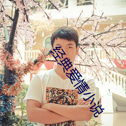 经典爱情小说 （赘述）