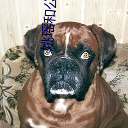姚(姚)瑶和(和)公全(全)集大结(結)局