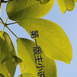suncitygroup太阳集团--官方网站