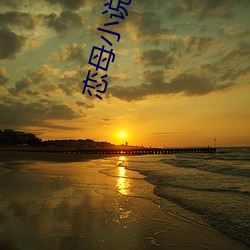 恋母小(小)说