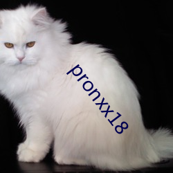 pronxx18