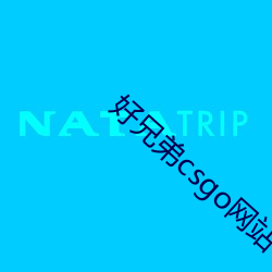 好兄弟csgo网站