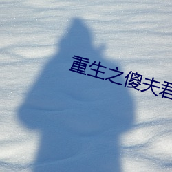 重生之傻夫君 （盲风妒雨）