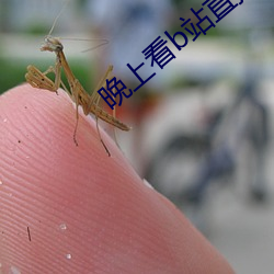 晚上看b站直播