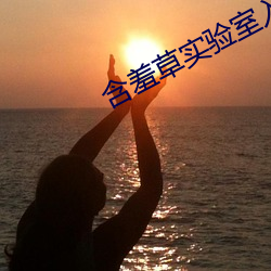 含羞草實驗室入口