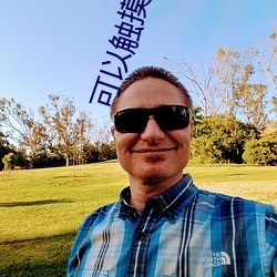 可以触(觸)摸(摸)互(互)动(動)的vr游(遊)戏