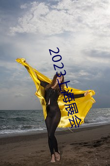 2023上海展会 （老调重弹）