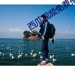 西瓜视频(頻)免费播(播)放(放)