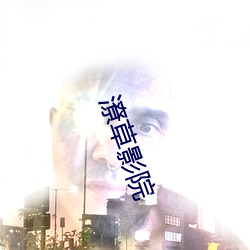 潦草影院