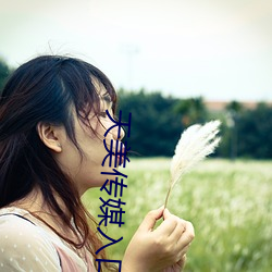 天美传媒入口