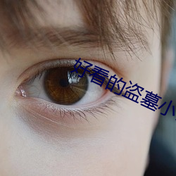 好看的(de)盗墓小说