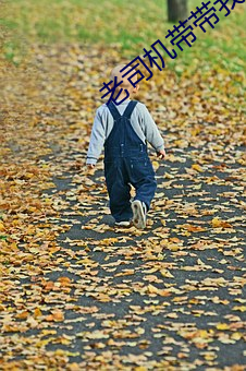 老司机带带我 （买铁思金）